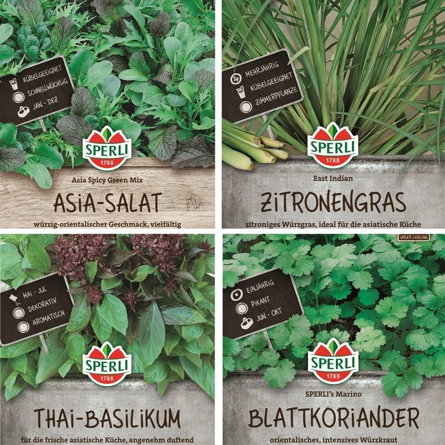 SPERLI Samen-Set Asiatischer Mix mit 4 Sorten Kräutersaatgut in Grün und Mehrfarbig - Bild 1
