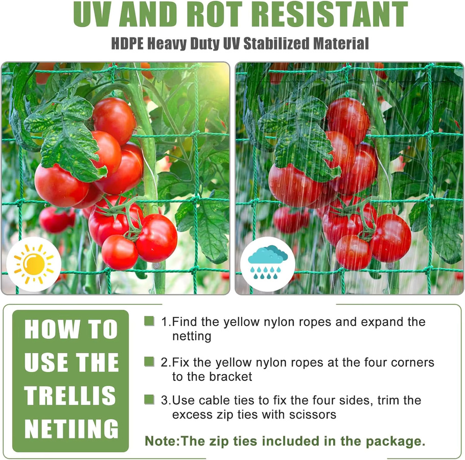 Grünes Pflanzenkletternetz aus Nylon für Gemüse und Obst, Heavy Duty Spaliernetz für Gurken, Tomaten und Trauben - Bild 3