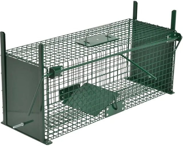 Moorland Safe 5067 Lebendfalle in Dunkelgrün mit 2 Eingängen, H x B x T: 61 x 21 x 23 cm - Bild 1