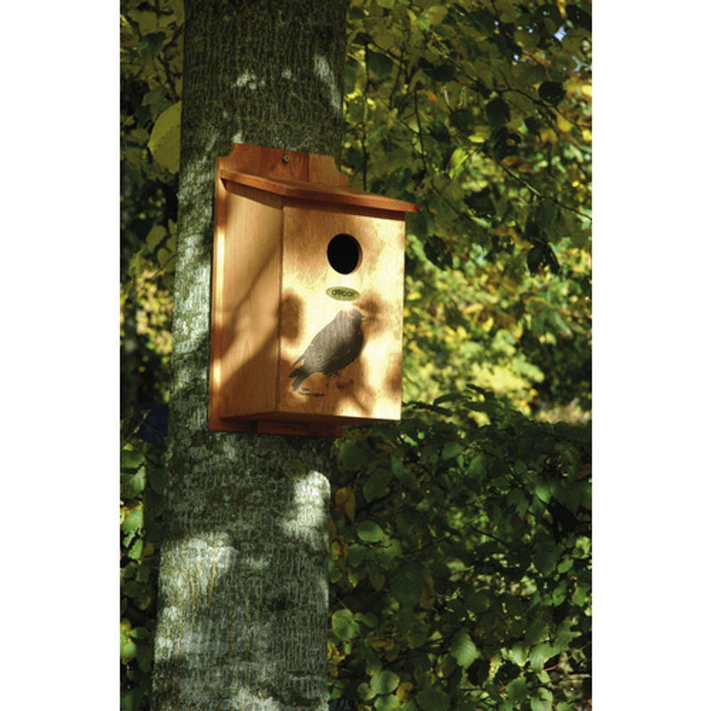DOBAR Nistkasten aus Holz in Braun, B/H/T: 20 x 38 x 19 cm - Bild 2