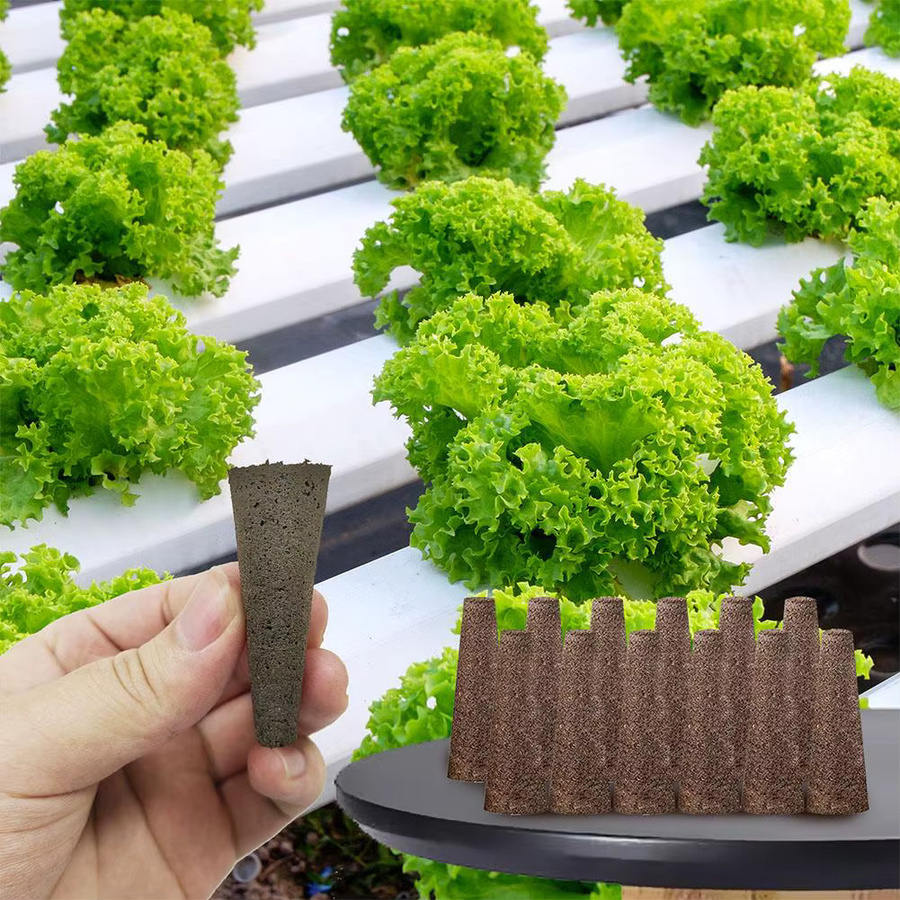 Eed Grow Ersatz-Wurzelwachstumsschwämme für AeroGarden Hydroponik-Anzuchtstecker, Braun, 50 Stück - Bild 5