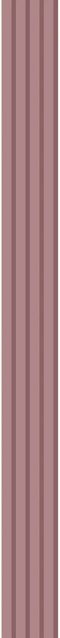 Neuhofer Wandverkleidung Wally Tiger Pink 5er-Pack Breite: 18 cm, Höhe: 267 cm - Bild 1