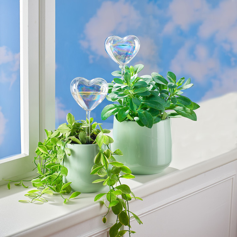 4er-Set Glas-Bewässerungshilfe Herz in Transparent für Deine Pflanzen - Bild 2