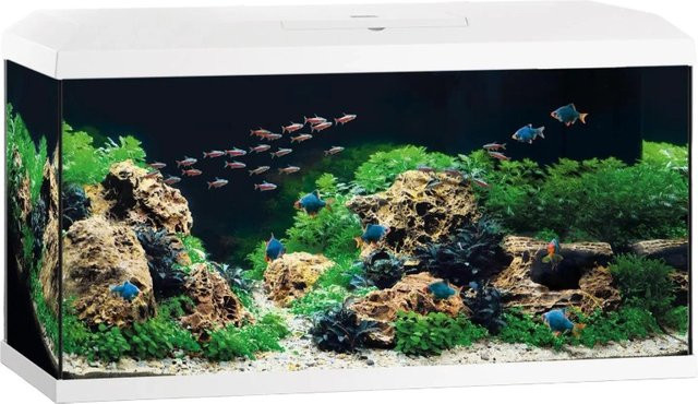 Juwel Aquarium-Set Primo 110 in Weiß - Bild 1