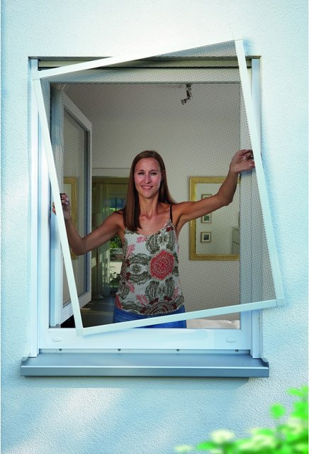 Schellenberg Insektenschutz-Fenster Premium aus Aluminium und Glasfaser, weiß, Breite: 100 cm, Höhe: 120 cm - Bild 1