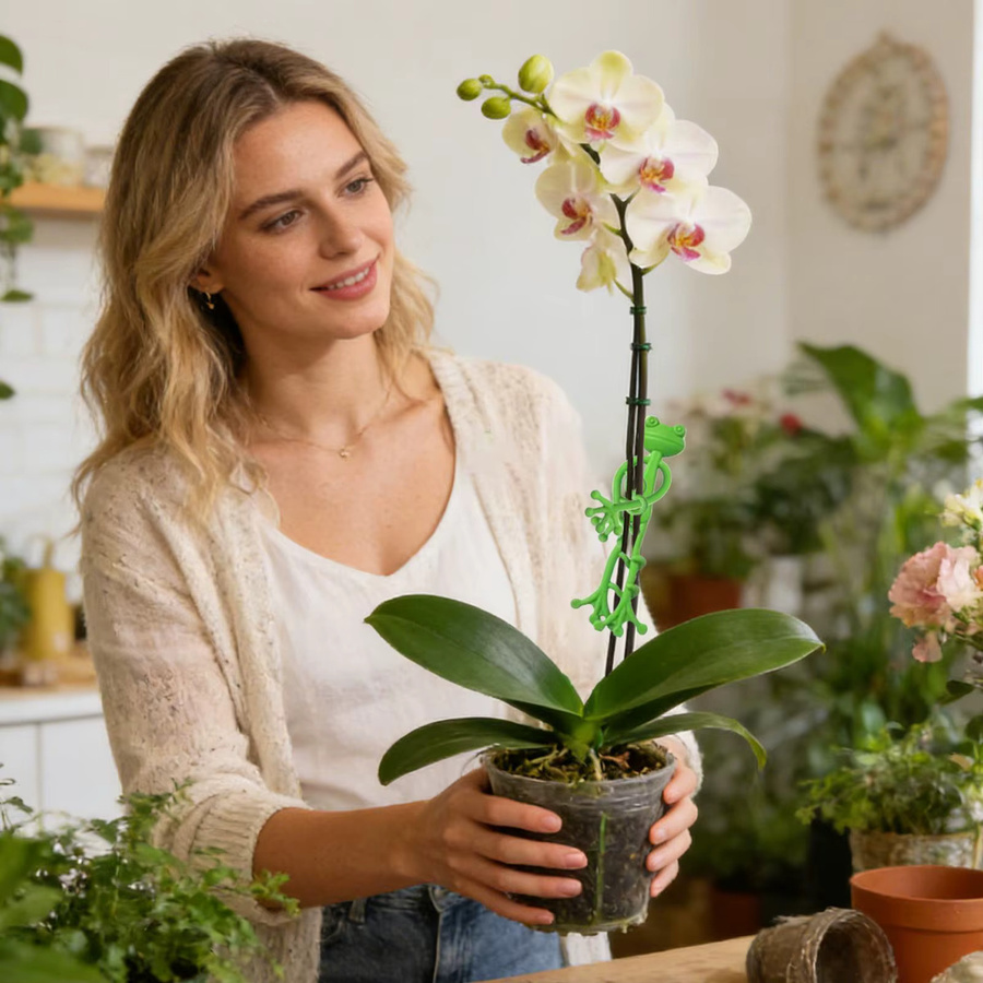 Grüner Frosch Pflanzenständer als Kletterhilfe für Pothos im Innen- und Außenbereich, Farbe: Grün - Bild 2
