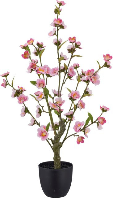 GASPER Kunstpflanze Kirschblüte in Pink und Rosa aus Kunststoff, Tischdeko Höhe: 32,0 cm, Breite: 64,0 cm, Tiefe: 11,5 cm - Bild 1
