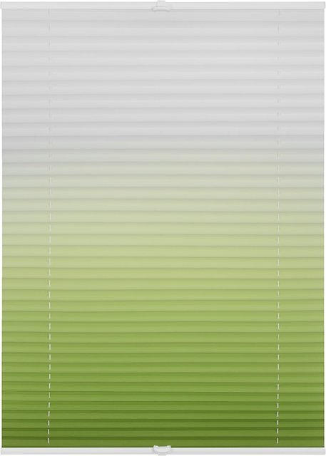 Lichtblick Plissee Klemmfix ohne Bohren verspannt in Grün mit Farbverlauf und semi-transparentem Textil - Bild 1
