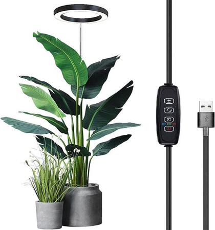 Igeteck Pflanzenwachstumslicht Stehlampe in Schwarz mit Vollspektrum-Sonnenlicht, dimmbar und mit Timer für große Topfpflanzen