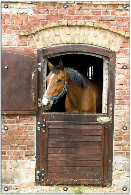 Wallario Gartenposter Pferd im Stall, braun, Breite: 60 cm, Höhe: 90 cm - Bild 1