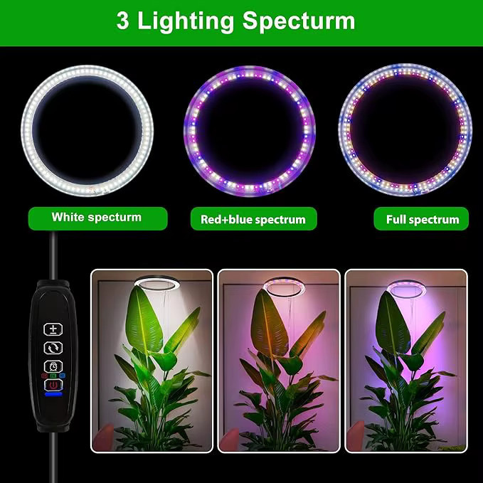ZCMLED Pflanzenwachstumsleuchte in Schwarz, höhenverstellbare LED-Grow-Light mit Timer (3H/9H/12H und 10 dimmbaren Helligkeitsstufen) für den Schreibtisch oder das Home-Office - Bild 4