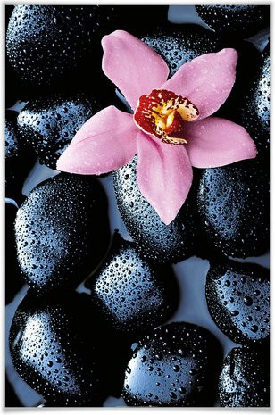 WIZARD+GENIUS XXL Poster Typografie und Floral in Bunt, B: 115 cm, H: 175 cm - Bild 1