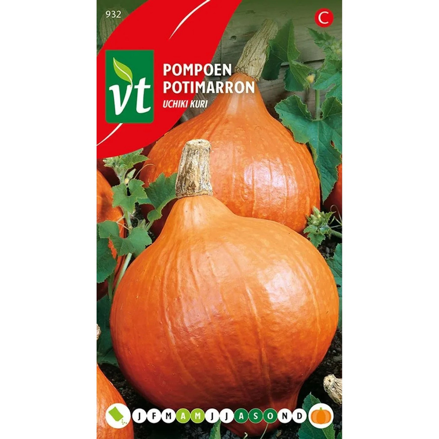 Arborix Kürbis Uchiki Kuri Gemüse-Saatgut mit orangefarbenen Früchten, 3 g - Bild 2