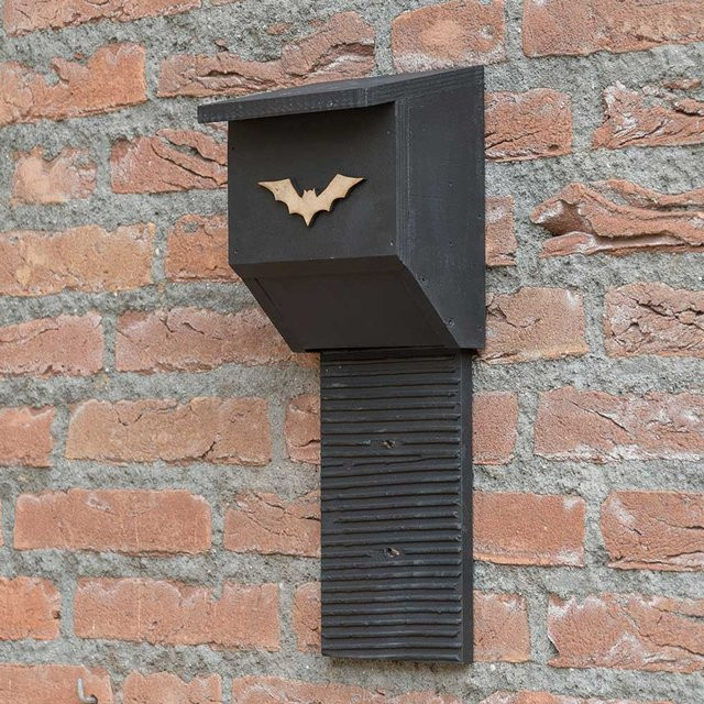 Fledermauskasten Coucy von CJ Wildlife in Schwarz aus Holz - Bild 1