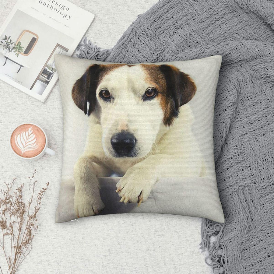 Kissenbezug mit Jack Russell Terrier Fotodruck aus Peach Skin für Sofa und Wohnzimmer, B/B/H: 18 x 18 x 18 cm - Bild 4