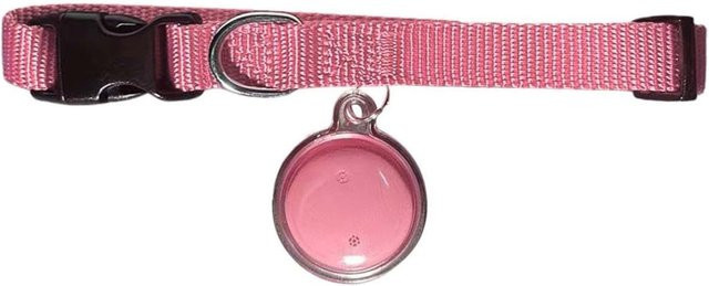 Tractive GPS Halsband Haustier Standort-Tag für iOS und Android mit Echtzeit-Ortung und Sicherheits-Elastikschnalle in Rosa - Bild 1