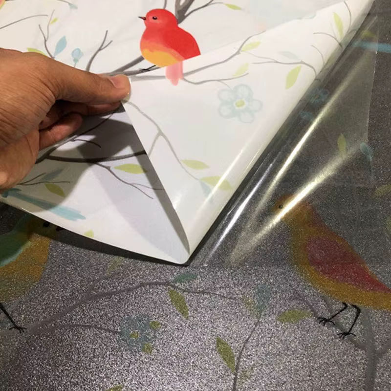AFDB Fensterfolie mattiert mit Vogel-Motiv, weiß, statisch haftende Glasfolie aus Vinyl zur Privatsphäre, 1/2M - Bild 2