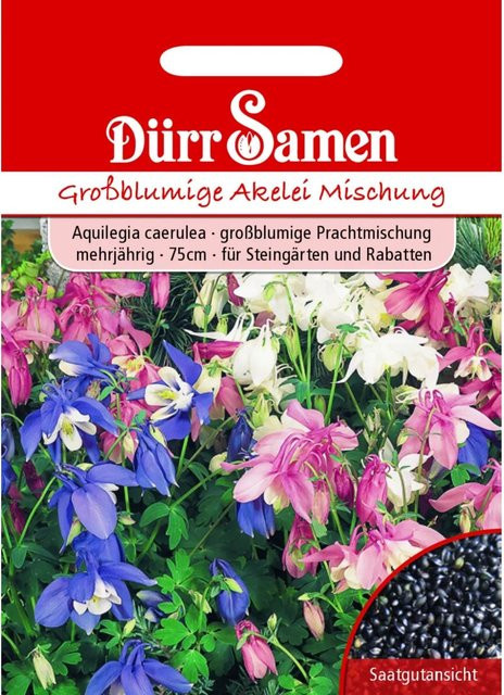 Dürr Samen Großblumige Akelei Mischung Mehrjähriges Saatgut - Bild 1