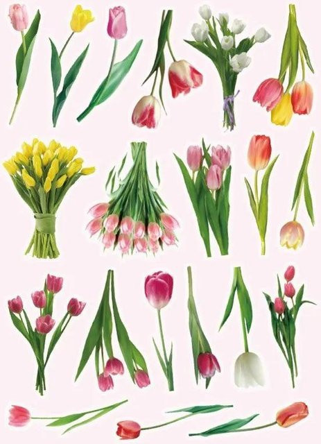 40 Stück Milost Aufkleber mit Blumen und Pflanzen in Beige, wasserdichte PET Sticker für Planer und Scrapbooking - Bild 1