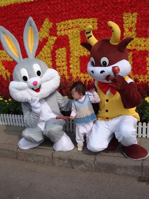Osterhase Maskottchen Kostüm, Graues Kaninchen, Plüsch / Textil - Bild 1