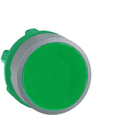Schneider Electric ZB5AA3C0 Drucktaster-Frontelement aus Kunststoff in Grün und Grau - Bild 1