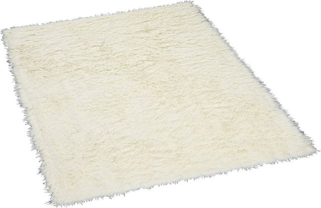 Andiamo Teppich Firenze modern in Creme, B/L: 70 x 140 cm - Bild 1