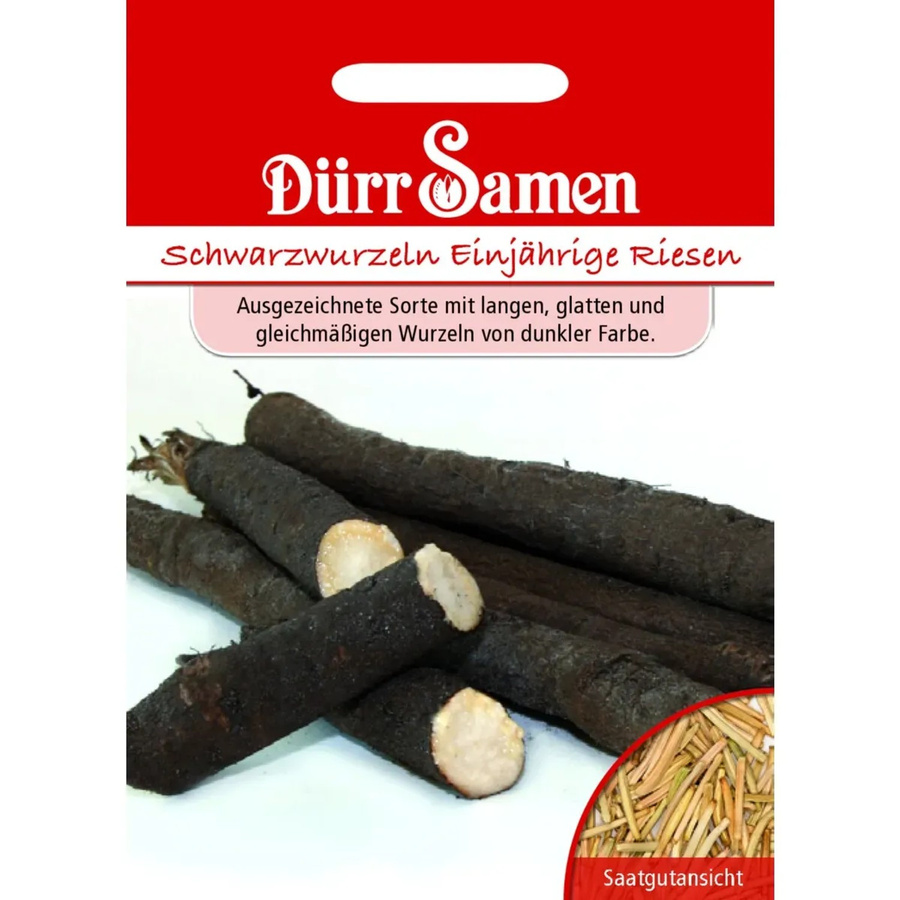 Dürr Schwarzwurzel Saatgut Einjährige Riesen Gemüse Samen - Bild 2