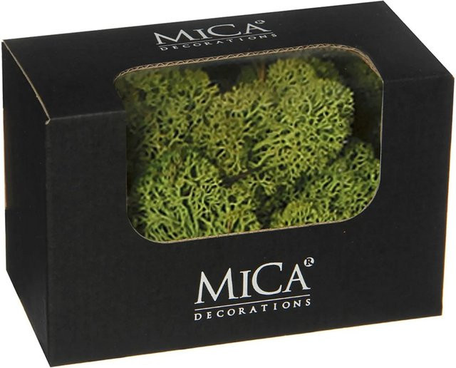 Mica Decorations Rentiermoos Grün B/T/H: 14,5 x 8 x 9,5 cm - Bild 1