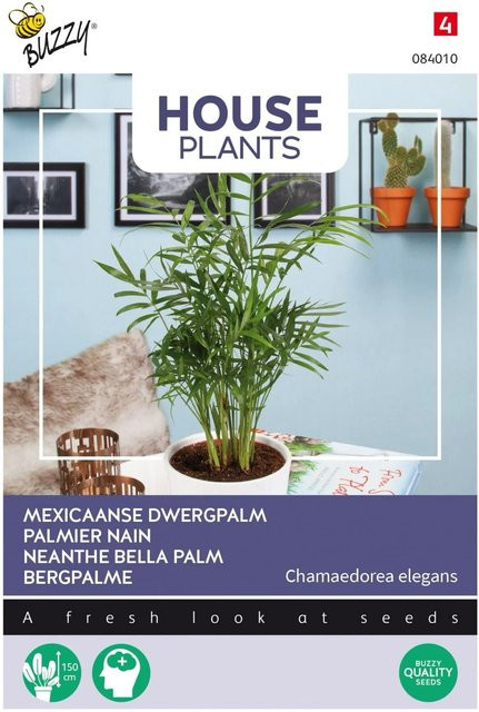 Buzzy House Plants Bergpalme Samen für Zimmerpflanzen, ca. 15 Stück - Bild 1