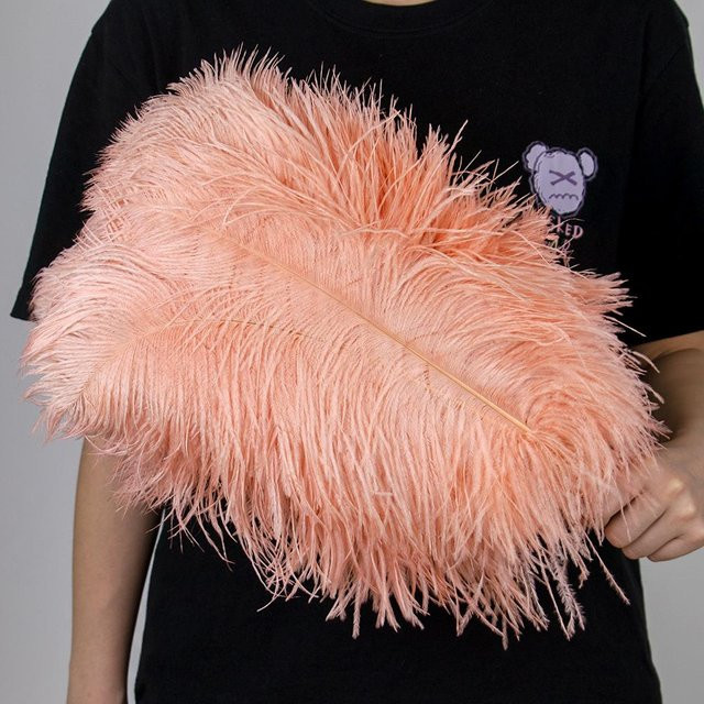 10er Pack XQ We Wantice Straußenfedern in Pink für DIY Basteln, Hochzeit und Party, Länge: 15-60 cm - Bild 1
