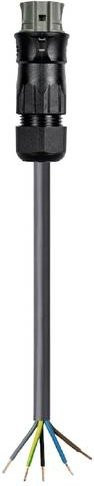 Wieland Electric Anschlussleitung 96.854.9933.3 Schwarz - Bild 1
