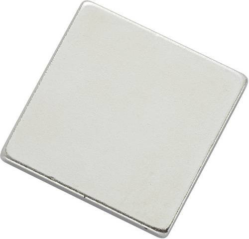 TRU Components Magnet-Pad N35-202002 Silber B: 20 mm, T: 20 mm - Bild 1