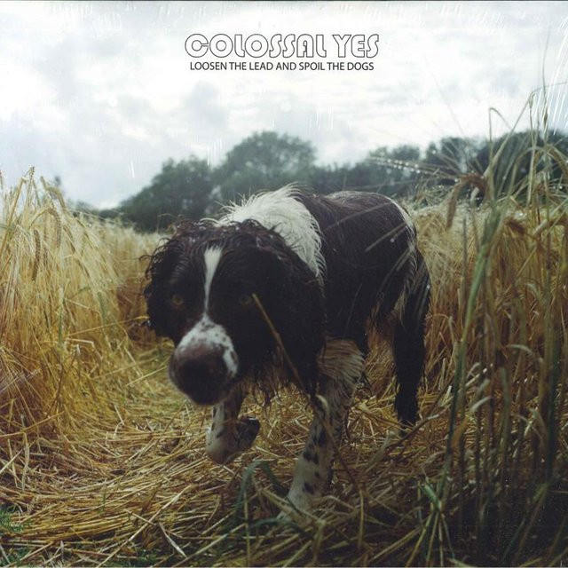 Colossal Yes - Loosen The Lead And Spoil The Dogs LP Vinyl Schallplatte Jackpot Records 2012 Rock Schwarz - Bild 1