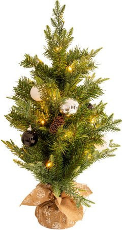 Näve Outdoor LED Weihnachtsbaum in Grün, B/H: 49 x 70 cm - Bild 1