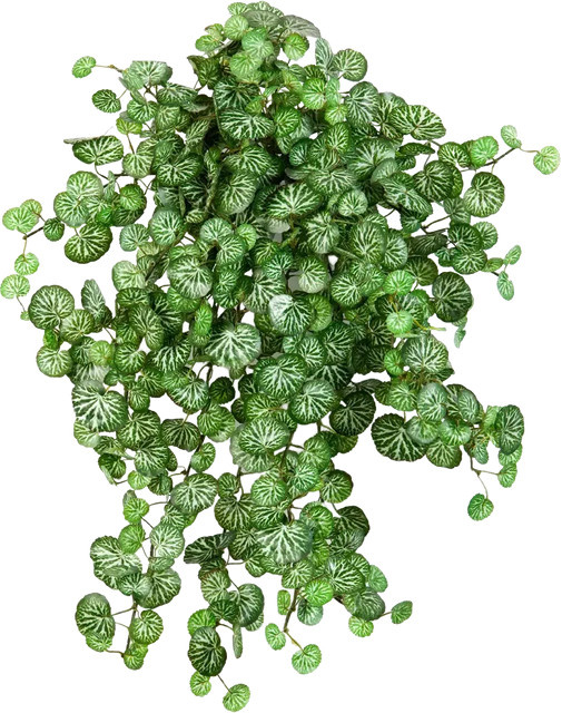 Aplanta Künstliche Steinbrech Emanuel, Grün, Höhe: 50 cm - Bild 1
