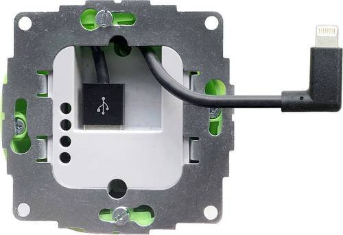 Smart Things AC/DC-Einbaunetzteil s24l in Schwarz mit USB-C für Apple iPad - Bild 1
