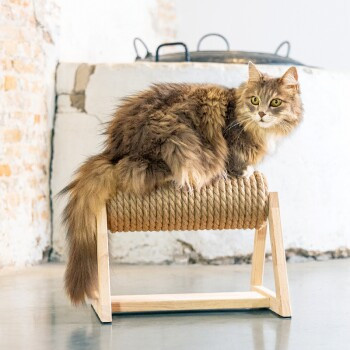 Designed by Lotte DBL Kratzbaum mit Fuß Yves in Beige - Bild 2