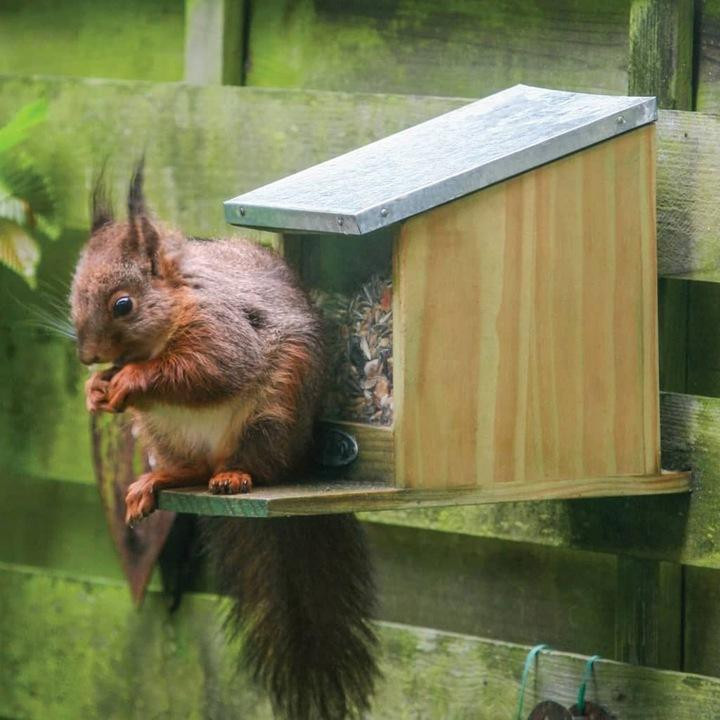 Eichhörnchen Futterhaus aus Holz als Futterspender und Futterautomat für den Garten - Bild 2