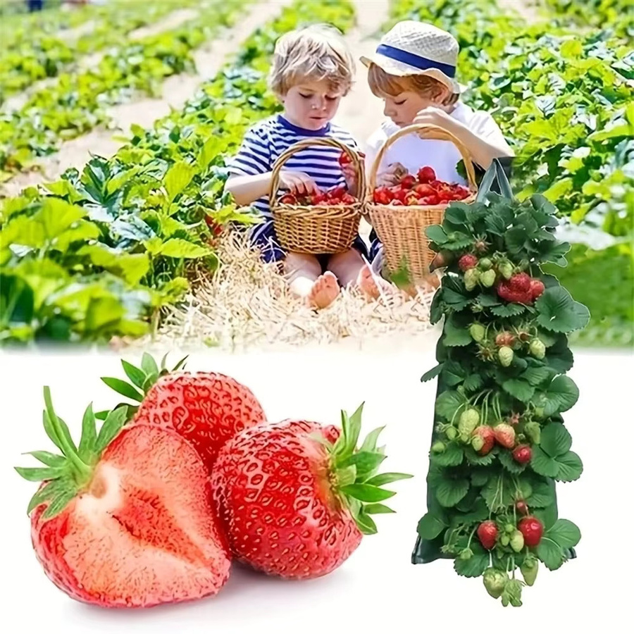 Vertikaler Pflanzbeutel mit 6 Löchern für Erdbeeren und Gemüse, Grün, B/H: 25 x 70 cm - Bild 4