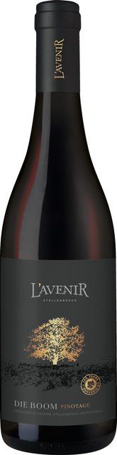L'Avenir Die Boom Pinotage Rotwein, Stellenbosch, 2024, trocken, 0,75 l - Bild 1