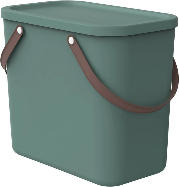 Rotho Multibox Albula 25 Aufbewahrungsbox in Mistletoe Green - Bild 1