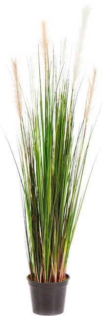 Künstliches Schilfgras Fluffi von artplants in Grün, Höhe: 120 cm - Bild 1
