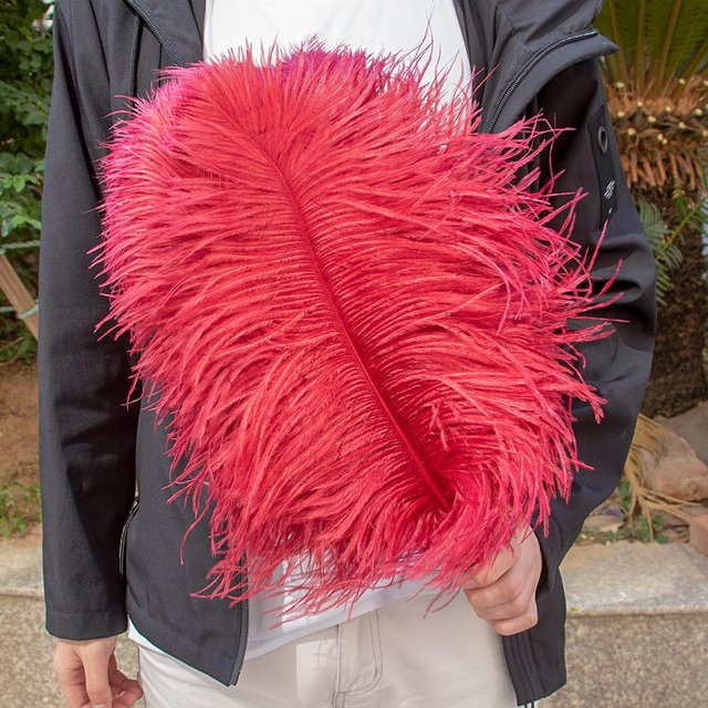 10er Pack XQ We Wantice Straußenfedern in Weinrot für DIY Basteln, Hochzeit und Karneval, Größe: 30-35 cm - Bild 1