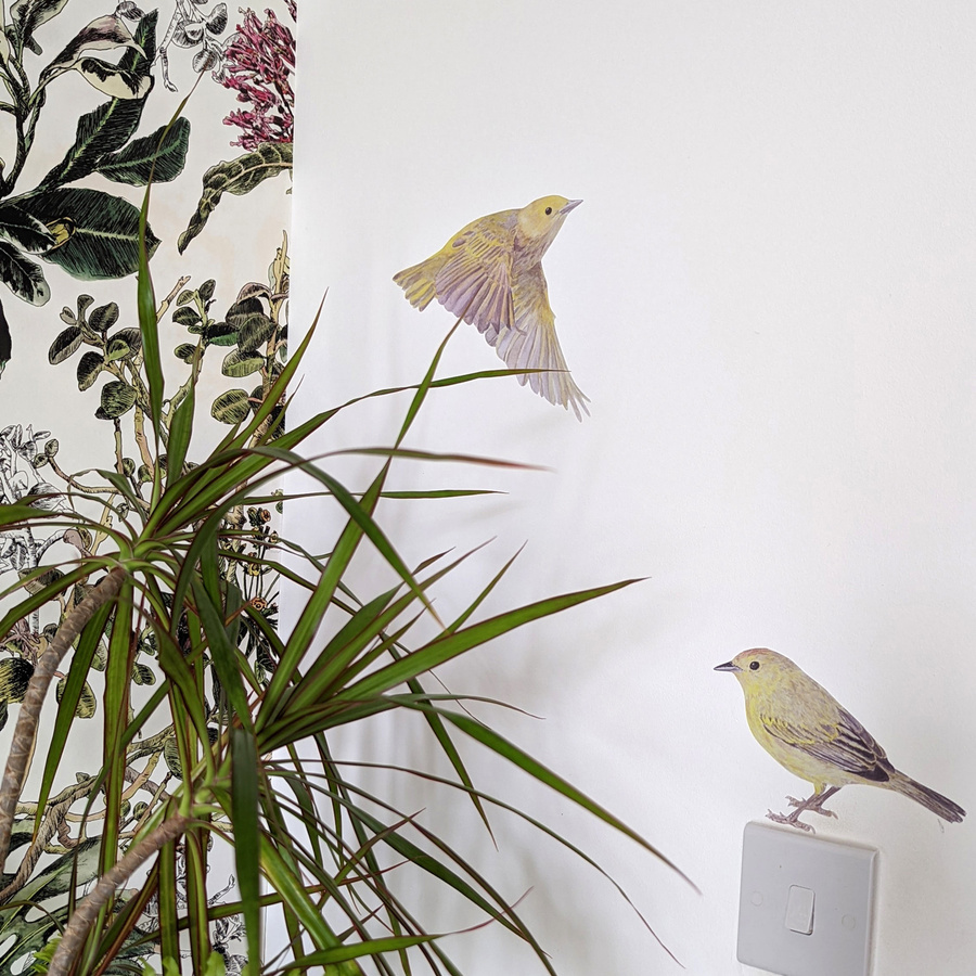 Sian Zeng Wandtattoo Warbler Vogel in Gelb - Bild 2