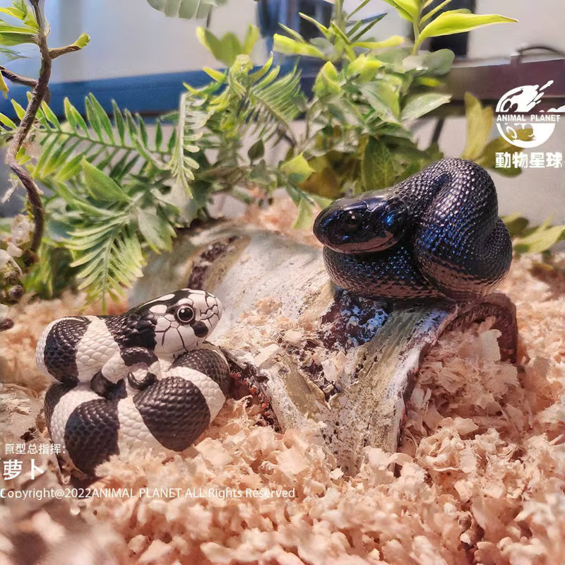 Animal Planet Serie Nr. 5 Schlangen-Crawler-Haustier, Tiermodell - Bild 3