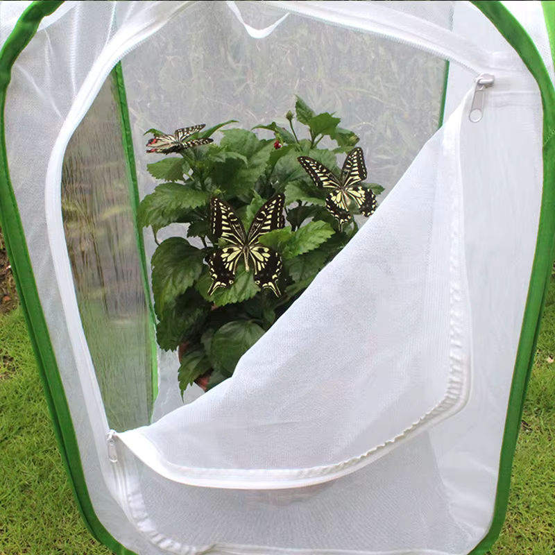 Faltbarer insektsicherer Sämlingskäfig für Obst, Gemüse, Blumen und Kräuter B/T/H: 60 x 40 x 40 cm - Bild 3