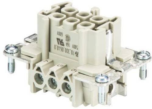 Wieland Electric Buchseneinsatz BAS 70.300.0640.0, Gesamtpolzahl 6 + PE, Grau - Bild 1