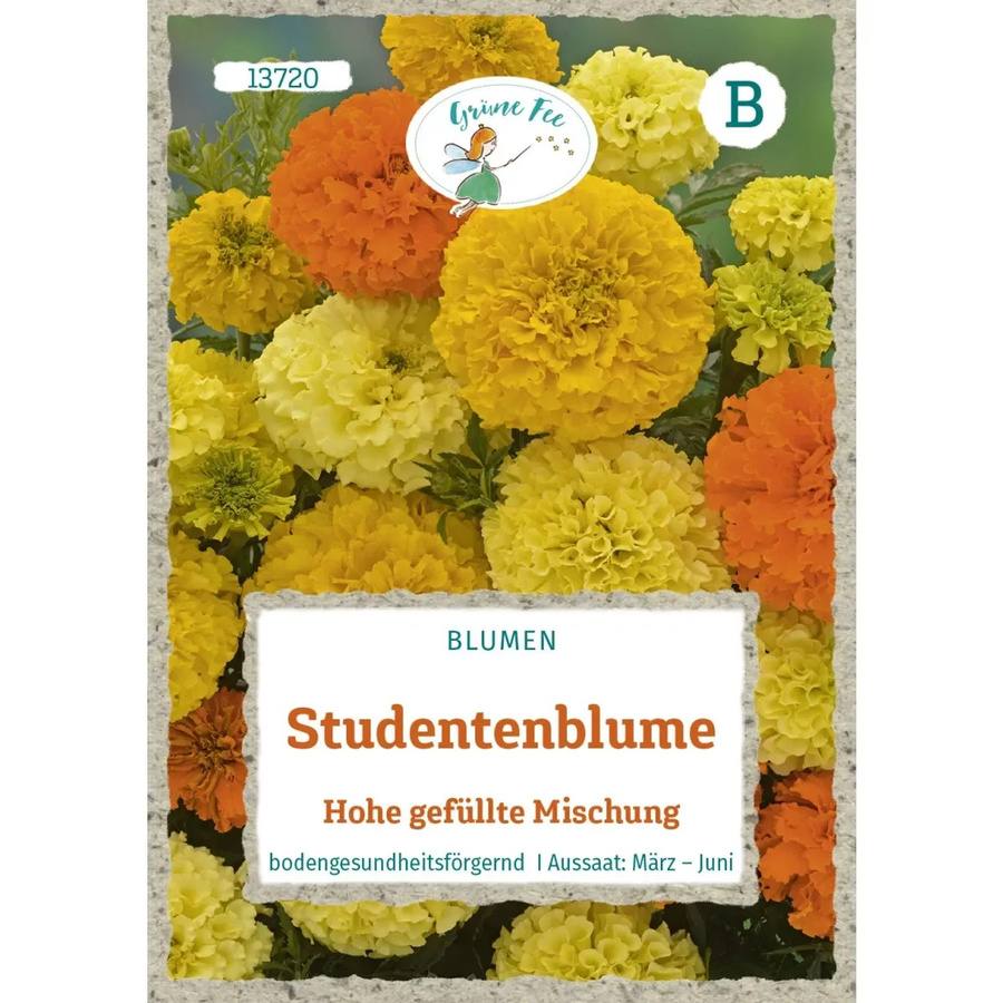 Grüne Fee Studentenblume Saatgut Hohe Gefüllte Mischung für Beete und Rabatten 50 g - Bild 2