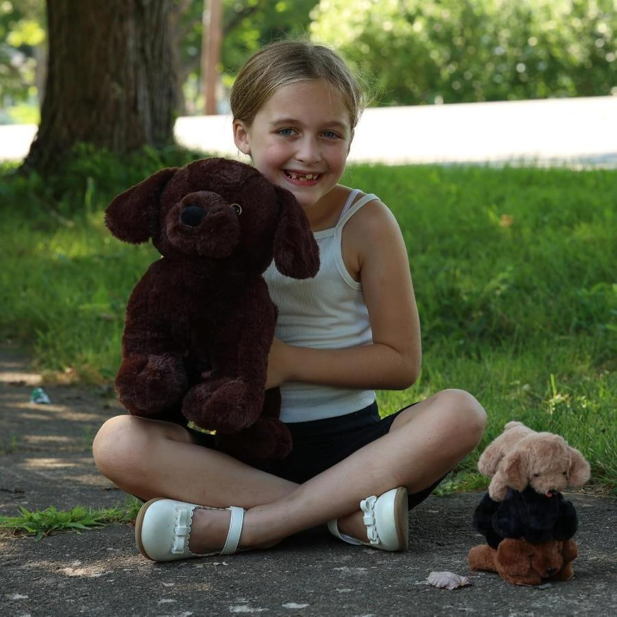 Wucifang Bags Schokoladen Mama Labrador Hund mit 3 Welpen, Plüschtier, 4-teiliges Set, ab 3 Jahren - Bild 2