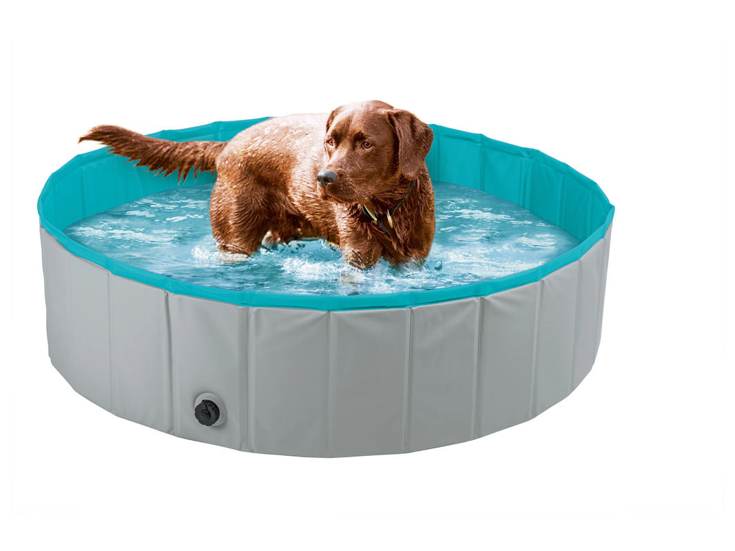 ZOOFARI Hundepool - Bild 2
